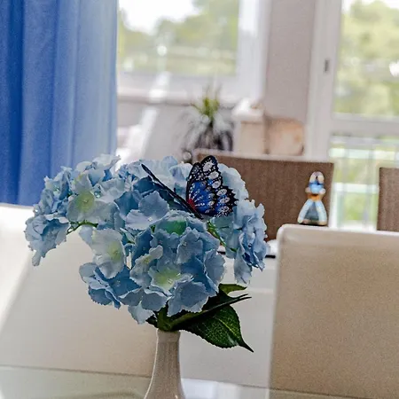 Stone House Blaca Tatil Evi