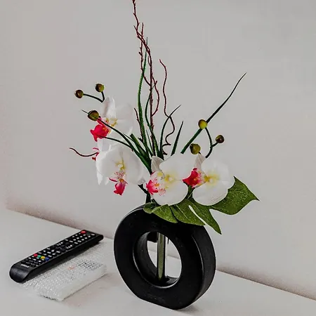 Tatil Evi Stone House Blaca