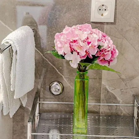 Tatil Evi Stone House Blaca *