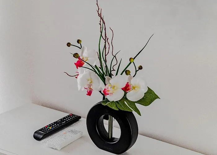 Dom wakacyjny Stone House Blaca